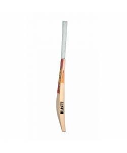 Beastt Plus Edition English Willow Cricket Bat  (SH)